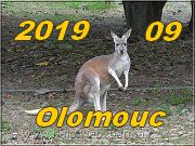 Olomouc 2019